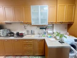 Blk 115 Edgefield Plains (Punggol), HDB Executive #476403531